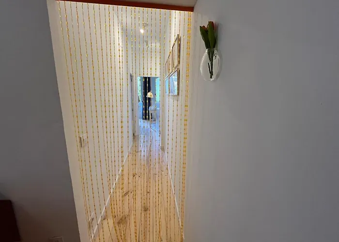 El Jardin De Vetusta *